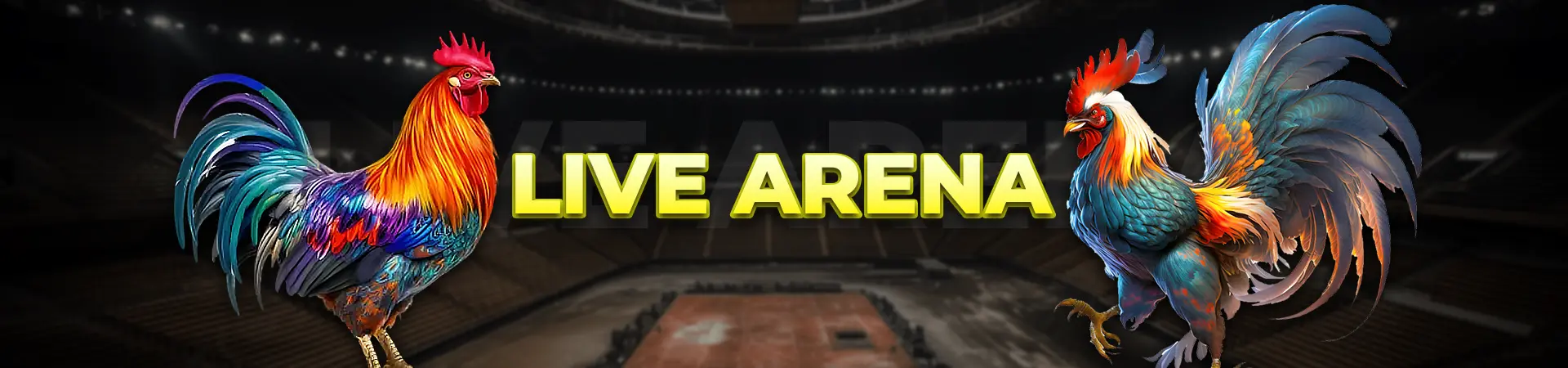 Live Arena_Ori